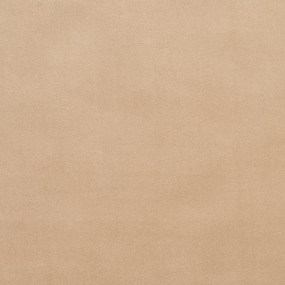 Charlotte Fabrics Y2154 Linen