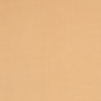 Charlotte Fabrics Y2204 Fawn