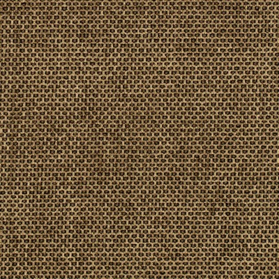 Charlotte Fabrics Y2268 Golden