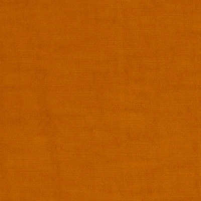 Charlotte Fabrics Y2337 Apricot