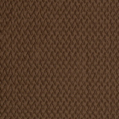 Charlotte Fabrics Y2344 Chestnut