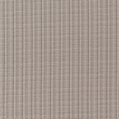 Charlotte Fabrics Y624 Platinum