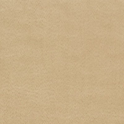 Charlotte Fabrics Y774 Chamois