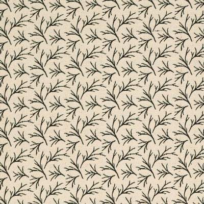 Charlotte Fabrics Y899 Ivory