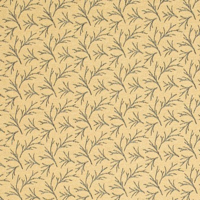 Charlotte Fabrics Y900 Gold