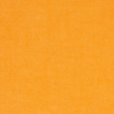 Charlotte Fabrics Y917 Sunflower