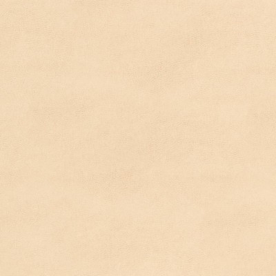 Charlotte Fabrics Z104 Biscotti