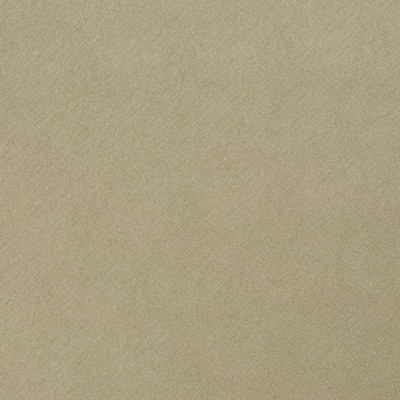 Charlotte Fabrics Z130 Leaf