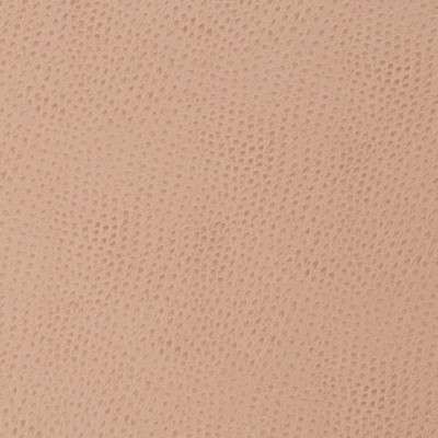 Charlotte Fabrics Z171 Cameo