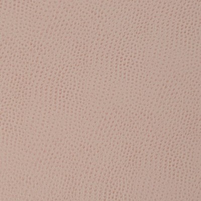 Charlotte Fabrics Z172 Rose
