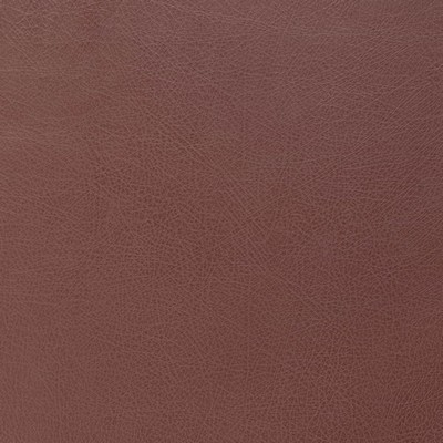 Charlotte Fabrics Z175 Burgundy