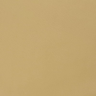 Charlotte Fabrics Z181 Lichen