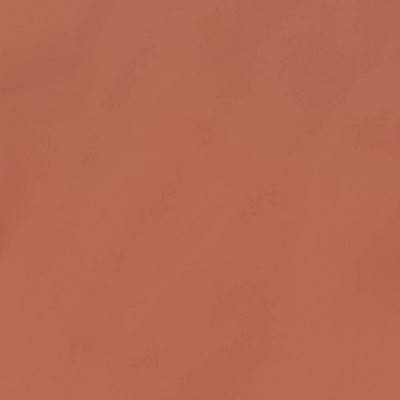 Charlotte Fabrics Z187 Cider