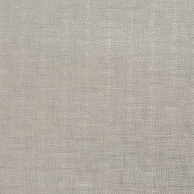 Charlotte Fabrics Z218 Silver