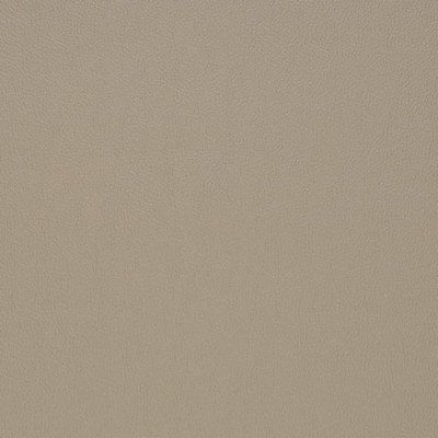 Charlotte Fabrics Z2413 Dove