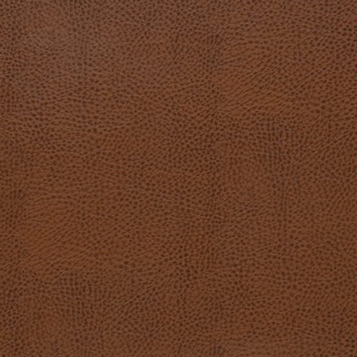 Charlotte Fabrics Z2434 Topaz