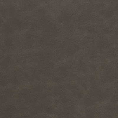 Charlotte Fabrics Z2435 Pecan