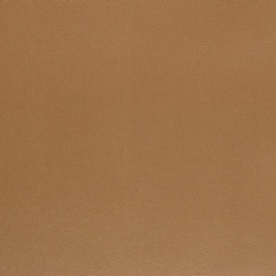 Charlotte Fabrics Z2439 Moccasin