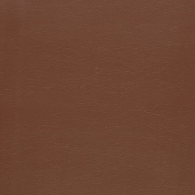 Charlotte Fabrics Z2443 Chocolate
