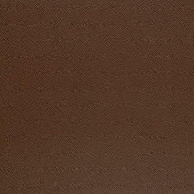 Charlotte Fabrics Z2450 Walnut