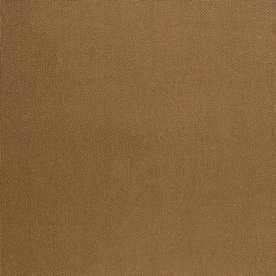 Charlotte Fabrics Z2461 Bronze