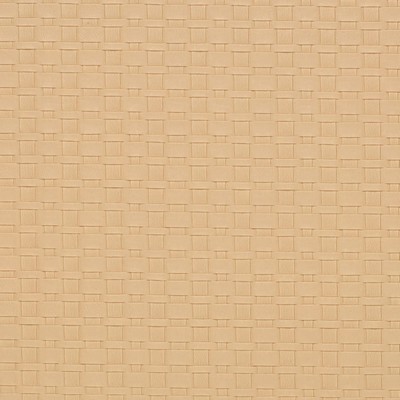 Charlotte Fabrics Z255 Cotton