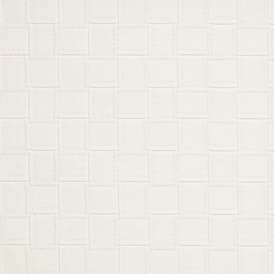 Charlotte Fabrics Z275 Natural