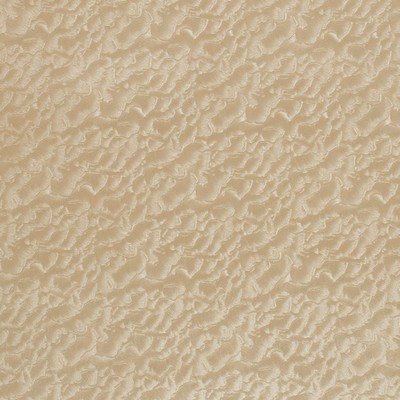 Charlotte Fabrics Z359 Fawn