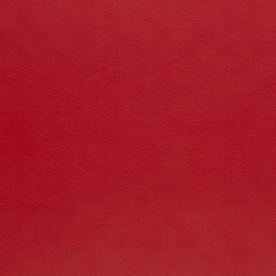 Charlotte Fabrics Z388 Poppy