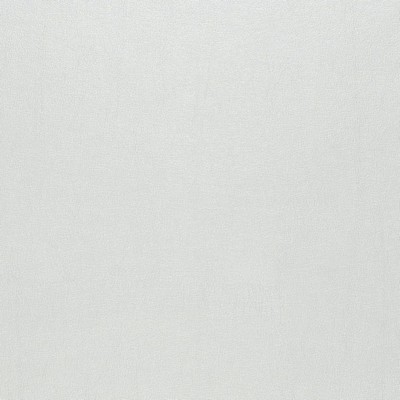 Charlotte Fabrics Z389 Silver