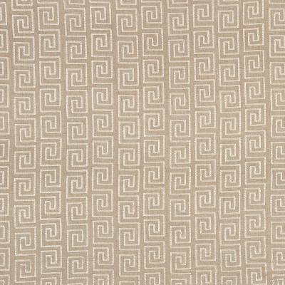 Robert Allen CRAZY MAZE LINEN