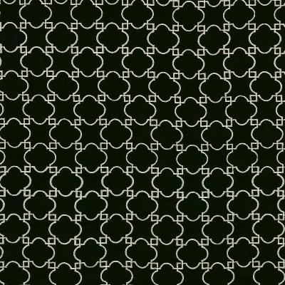 Robert Allen ACANTHUS NIGHT SKY