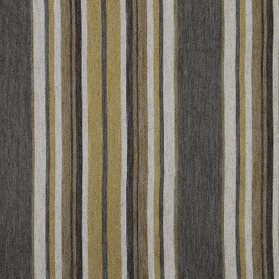 Robert Allen OCOSINGO ZEST