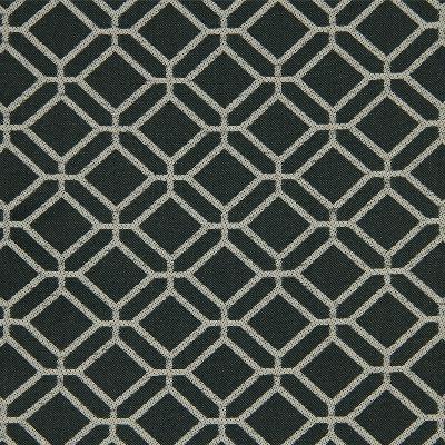 Robert Allen OUTLOOK PANTHER