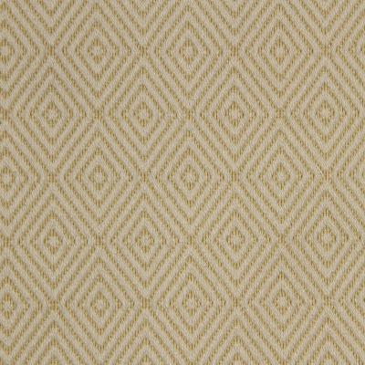 Robert Allen RAISED GEO ZEST