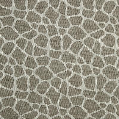 Robert Allen ROCKY WAY DRIFTWOOD