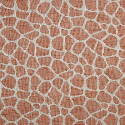 Robert Allen ROCKY WAY TANGERINE