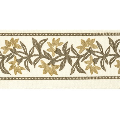 Stout Trim ANSONIA TAPE 6 CHESTNUT