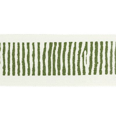 Stout Trim HALIFAX TAPE 11 APPLE