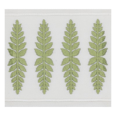 Stout Trim KAILUA TAPE 3 MOSS MOSS