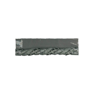 Kasmir Trim 232 RC100 PEWTER          