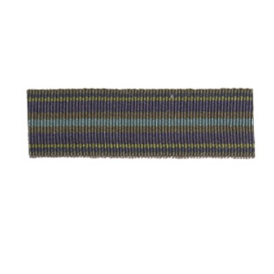 Robert Allen Trim LIBRARY STRIPE PEACOCK