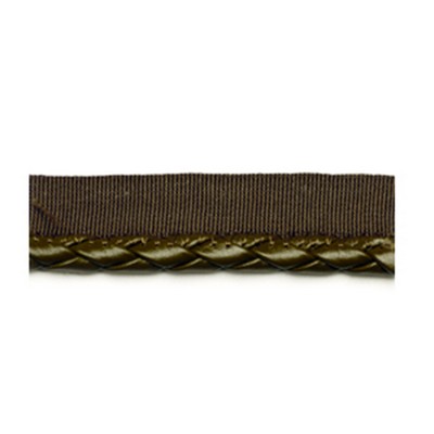 Robert Allen Trim WOVEN CORD      LICHEN         