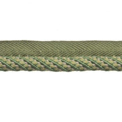 Duralee Trim DT61746 29