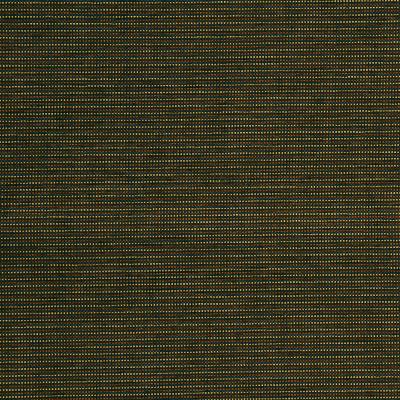 Robert Allen CHECKED LINES LAGOON