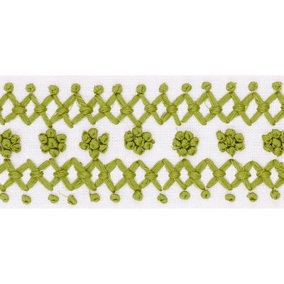 Schumacher Trim SUNNYVALE TAPE LeaF