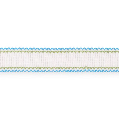 Schumacher Trim FILIPPA TAPE AQUA