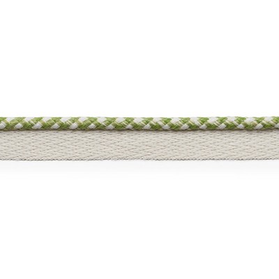 Schumacher Trim KEachTON LIP CORD LeaF