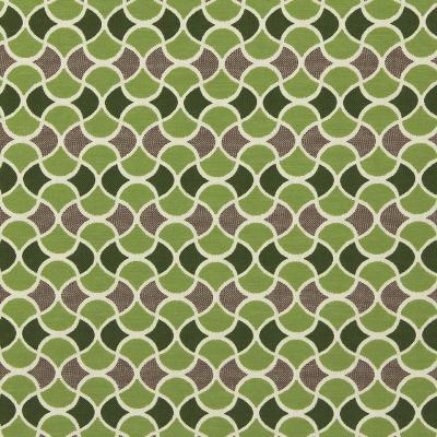 Robert Allen CARRINGTON LIME