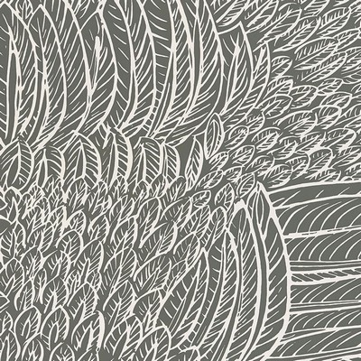 Schumacher Wallpaper FEATHERFEST SLATE